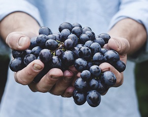 vinhos_finos_vinhos_de_mesa