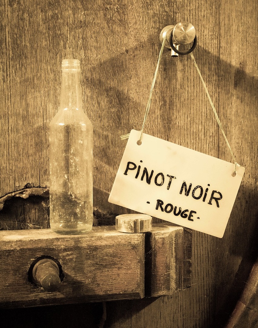 pinot noir