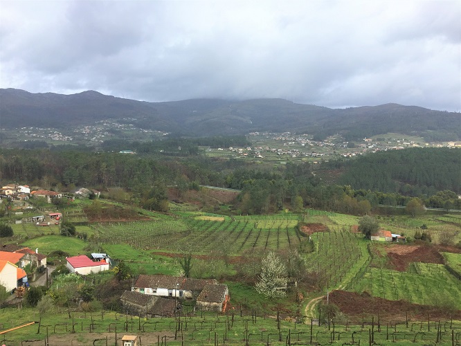 Quinta de Soalheiro vista