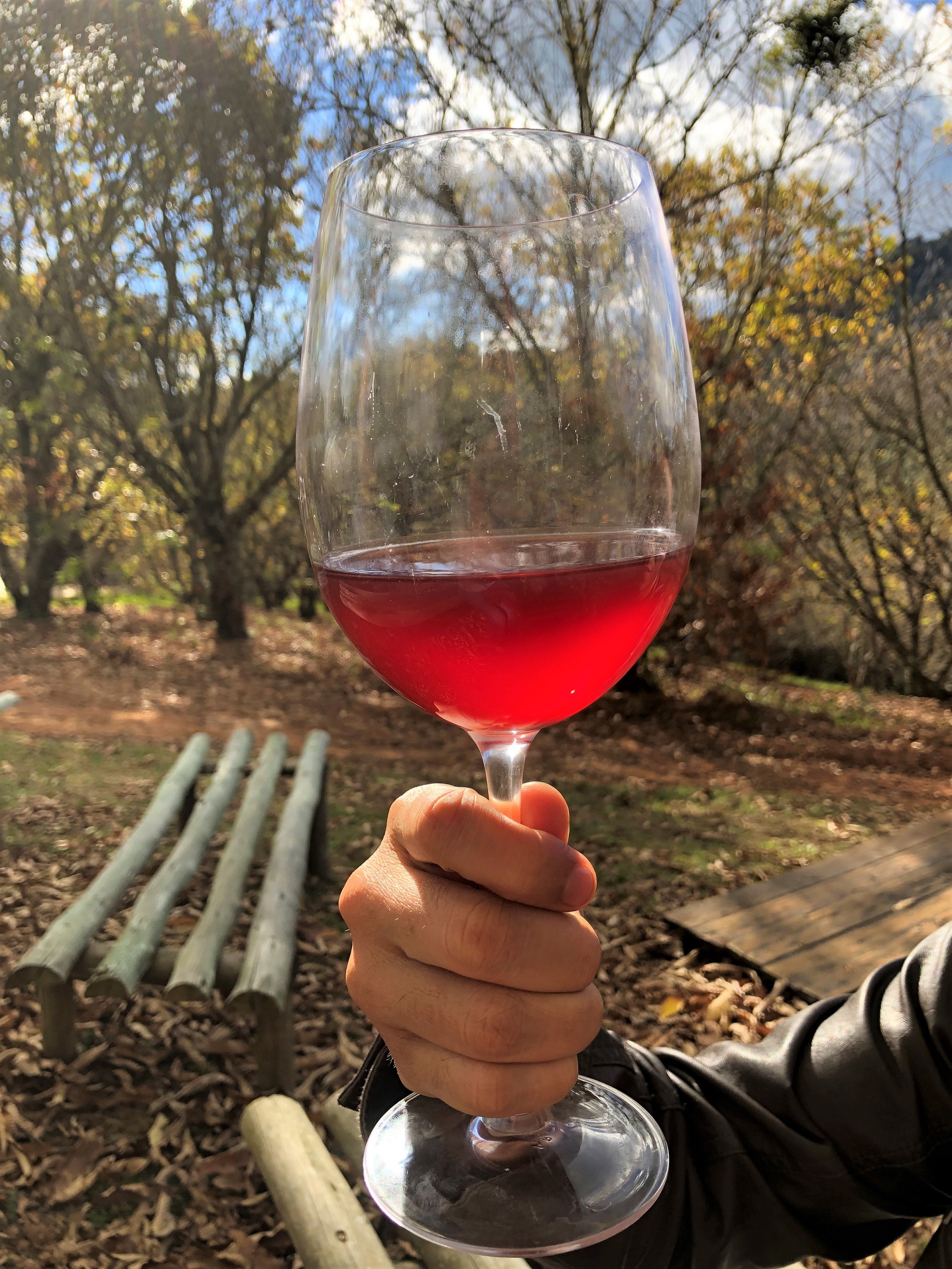 Vento Rosé Syrah Entre Vilas