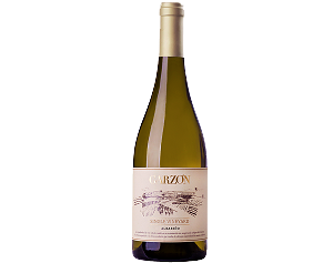 Garzón Single Vineyard Albariño 2019