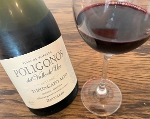 vinho argentino Zuccardi Poligonos Malbec
